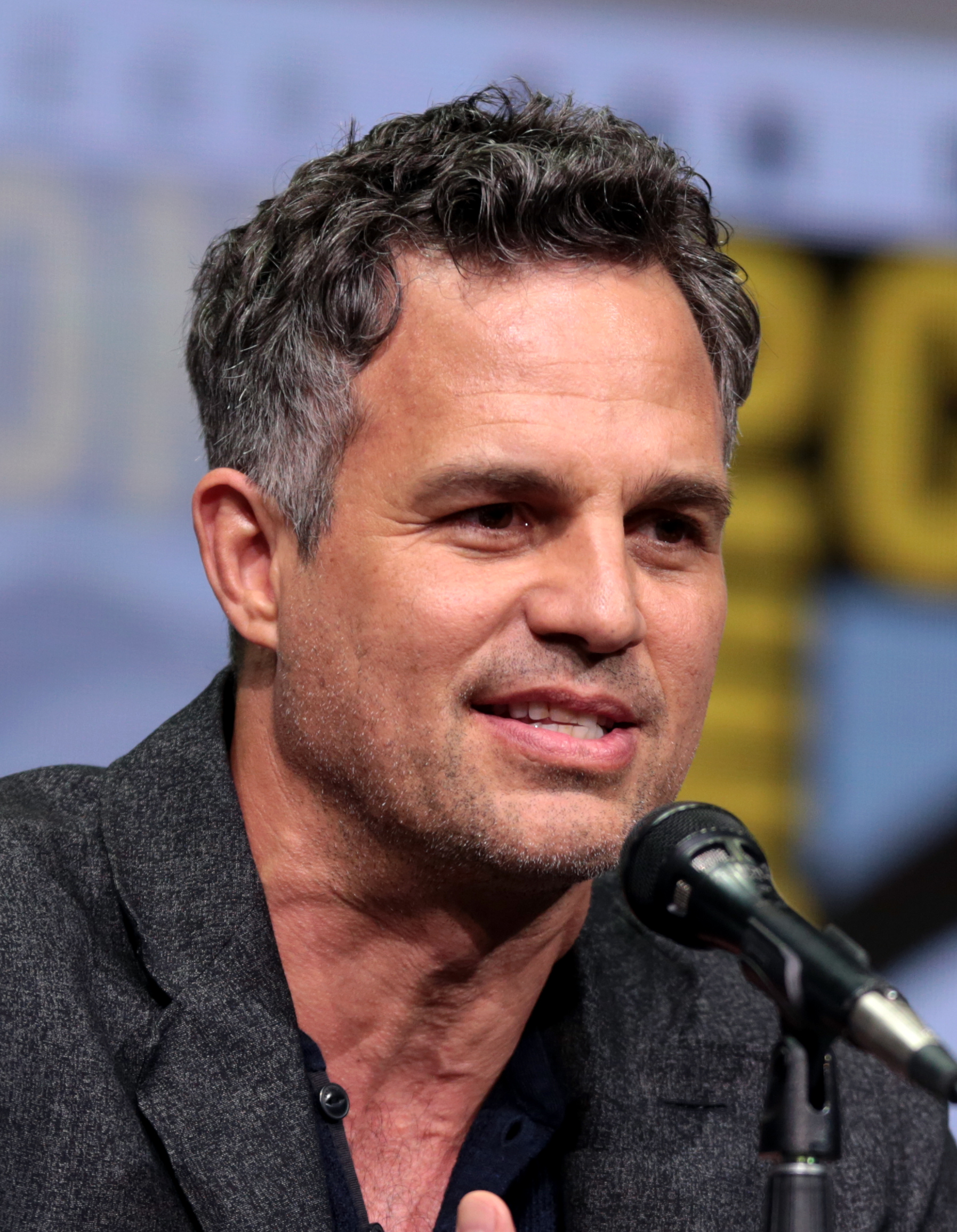 Mark Ruffalo as Bruce Banner / Hulk