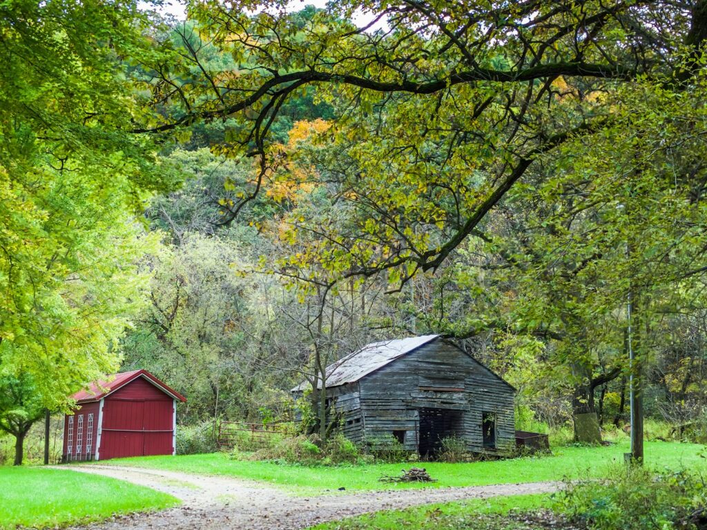 red and gray wooden sheds surrounded by trees