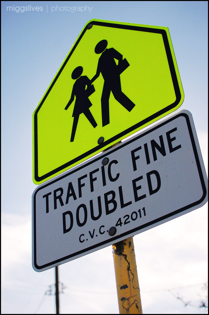 Navigating the Red Zone: A Deep Dive into States with the Toughest Traffic Fines and Penalties
