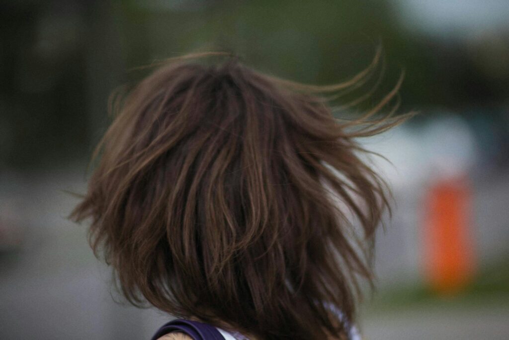 a person with a cell phone in their hand