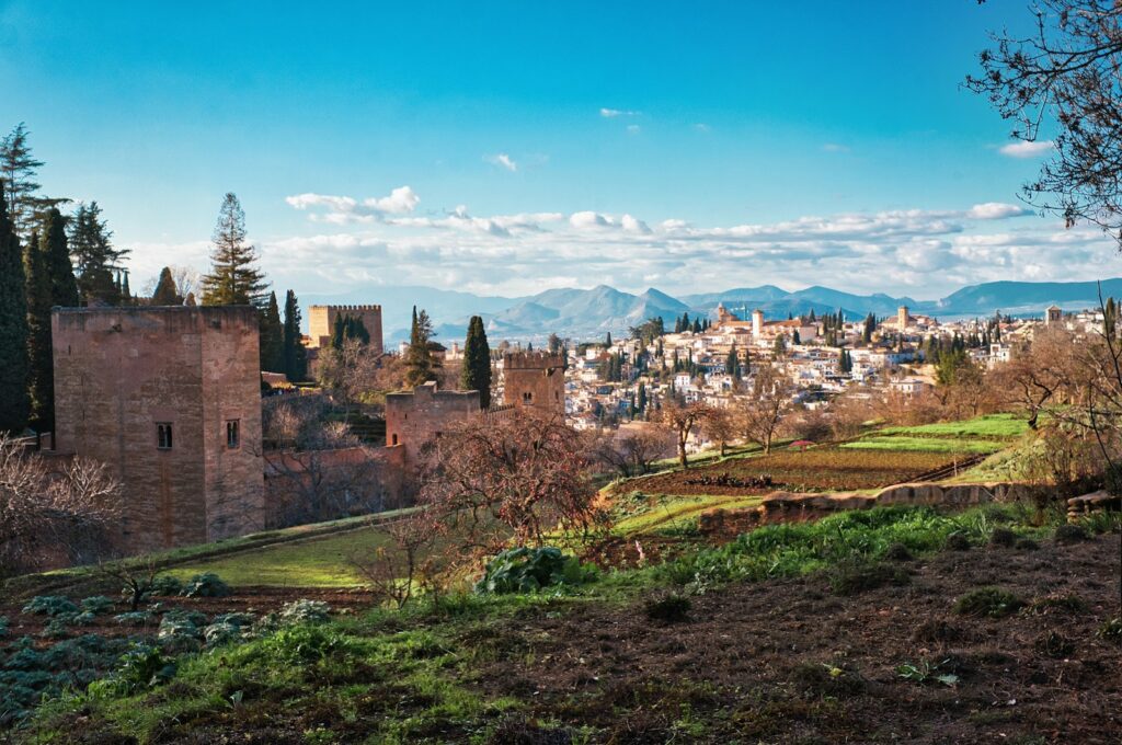 A scenic view of a city from a hill