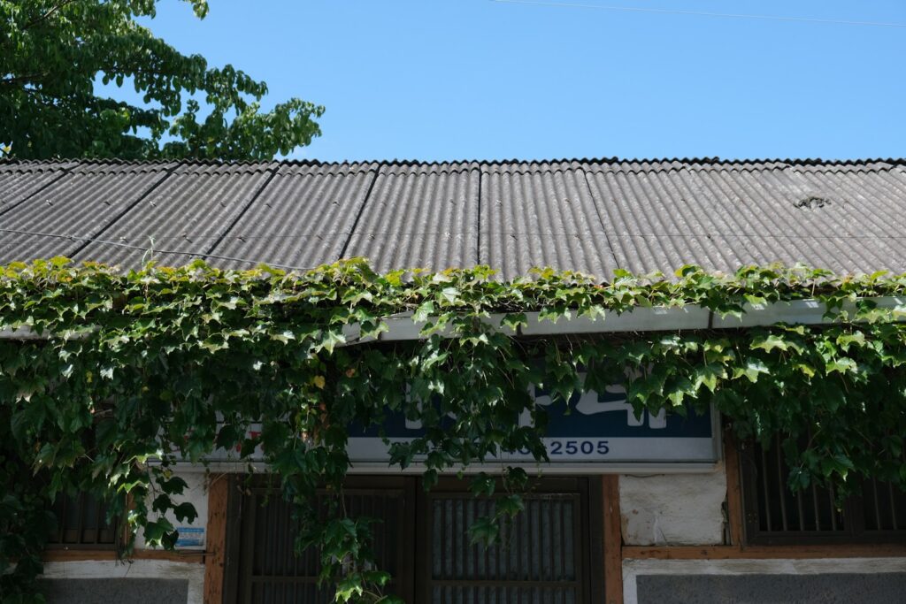 a building with vines growing on it
