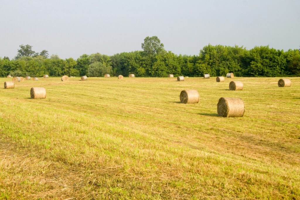 a field full of hay bales with trees in the background