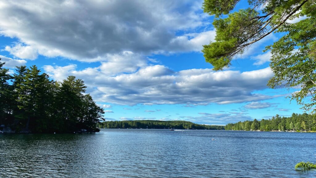a body of water surrounded by trees and clouds