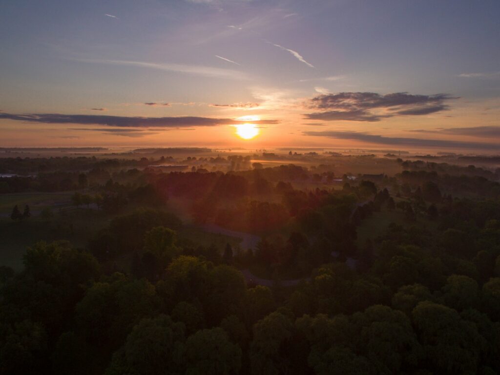 the sun is setting over a wooded area