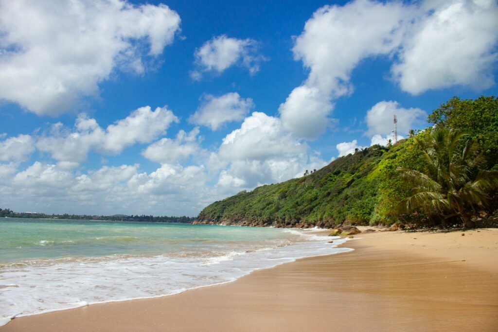 a beach with a hill in the background