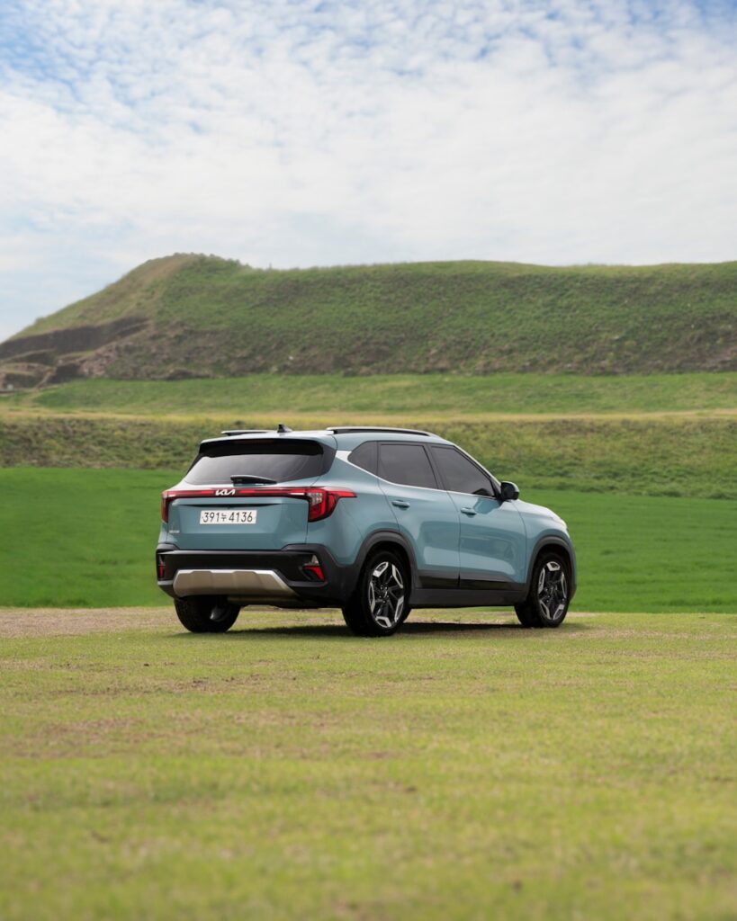 A blue car is parked in a grassy field