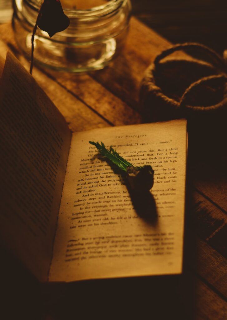The 15 Most Important Questions to Ask a Literary Agent for Aspiring Authors