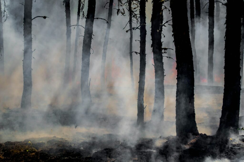 Beyond the Blueprint: 9 Industrial Tragedies That Forged Modern Safety Regulations