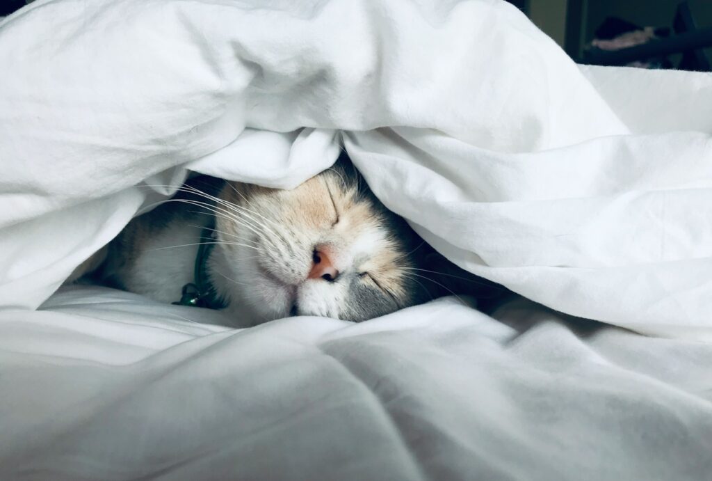 Unlock Restful Nights: 12 Simple Steps to Boost Your Sleep Quality by 50% in Under 1 Week