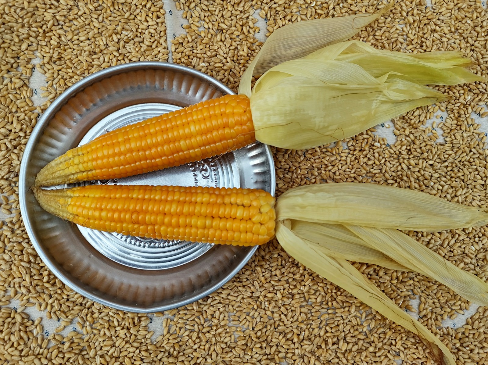 two ears of corn sitting on top of a metal plate