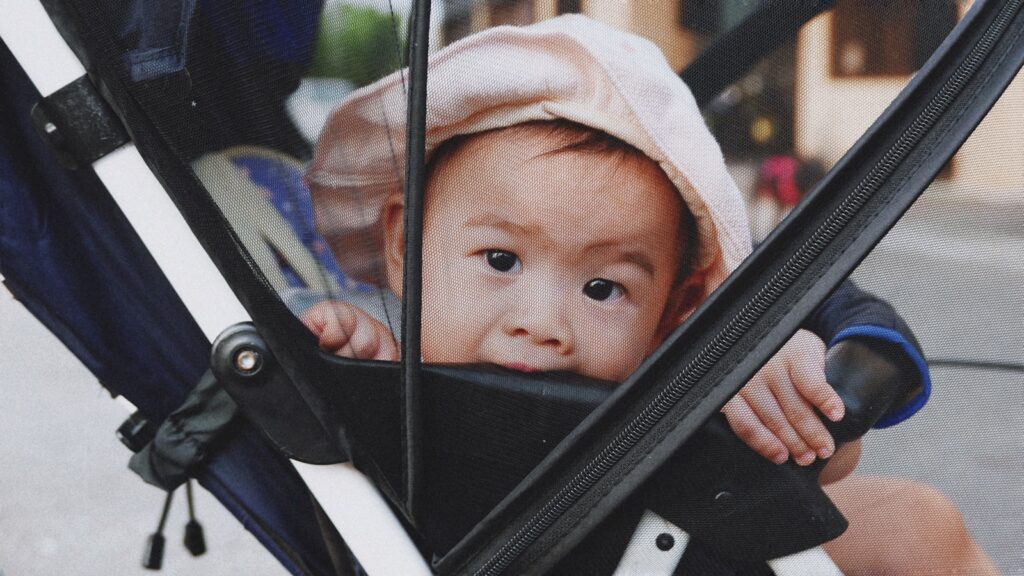 A baby in a stroller looking out the window