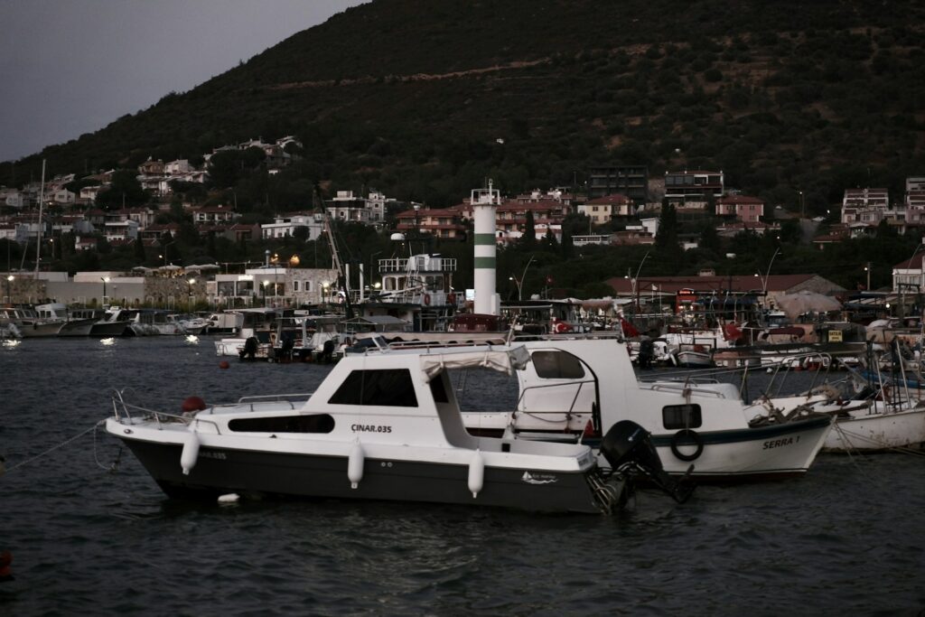 Boats docked in a harbor with a town on a hill.